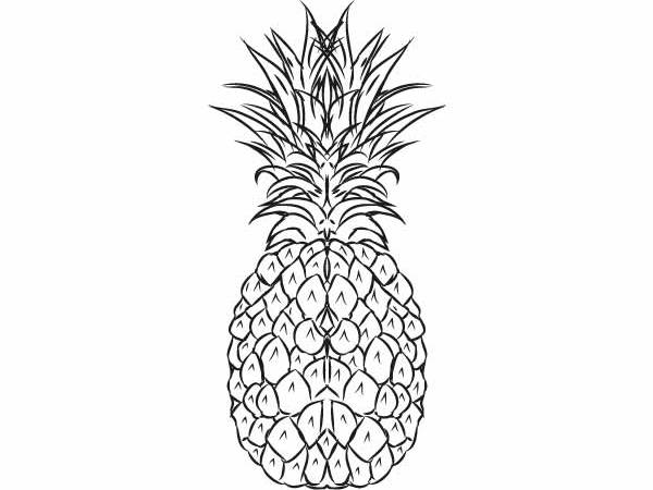 Ananas kolorowanki