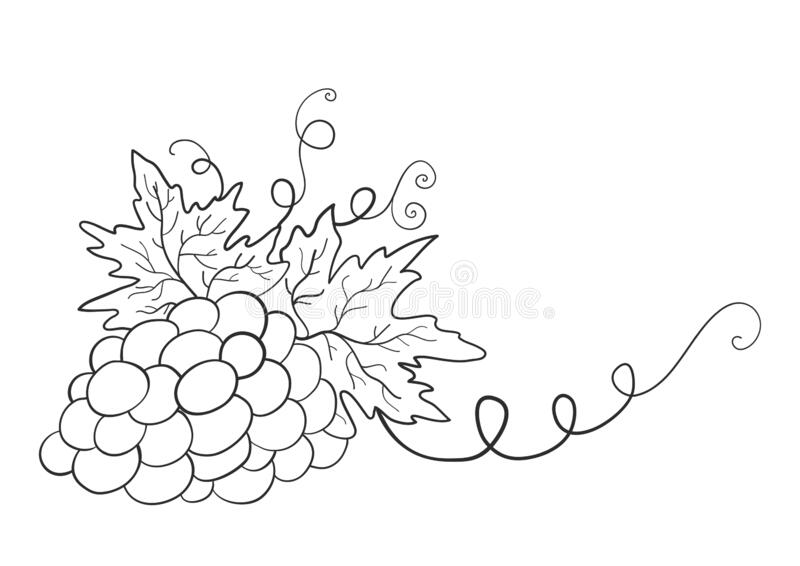 Winogrono kolorowanki